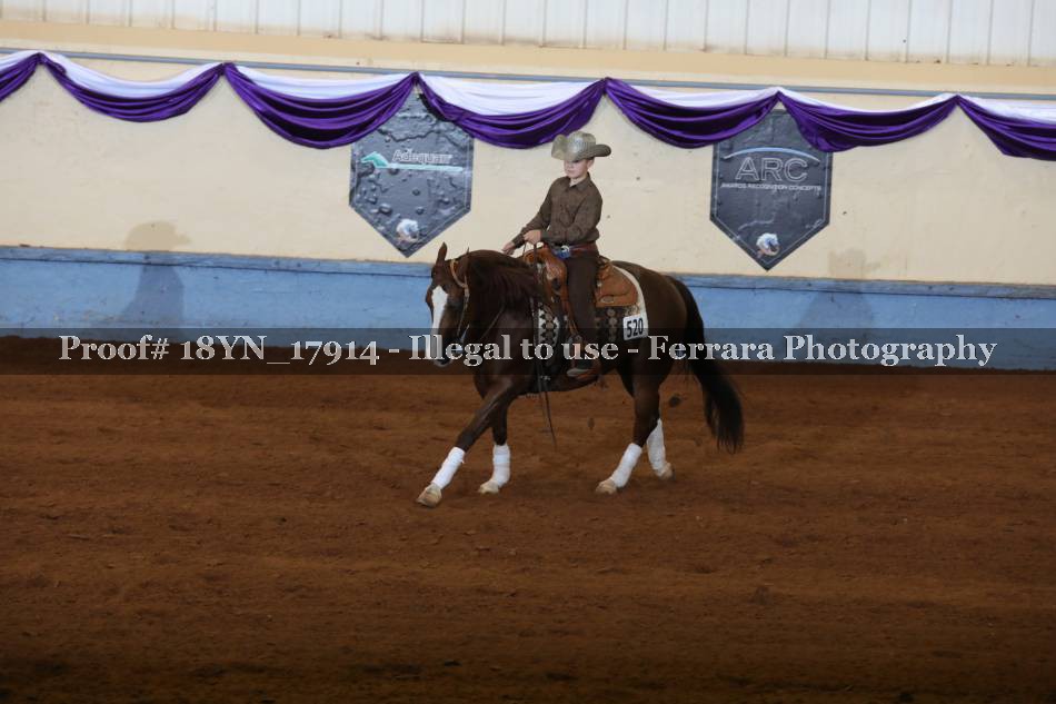Proof 18YN_17914