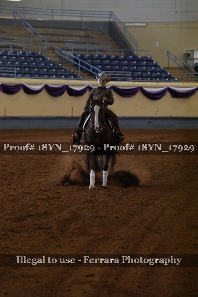 Proof 18YN_17929
