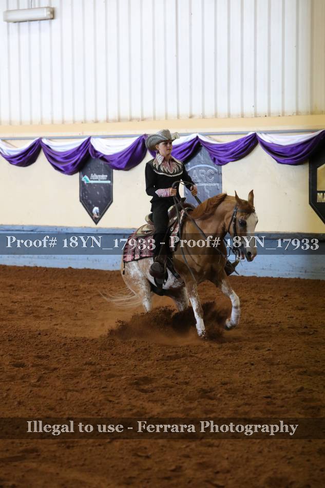 Proof 18YN_17933
