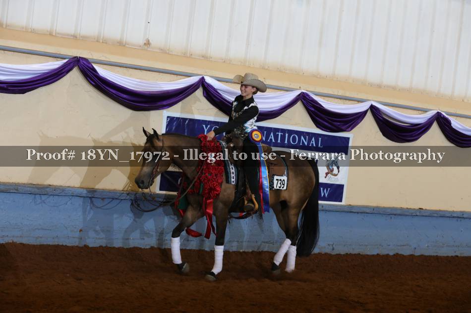 Proof 18YN_17972