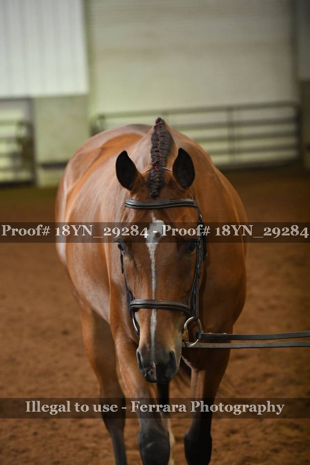 Proof 18YN_29284