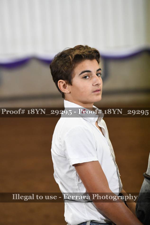 Proof 18YN_29295
