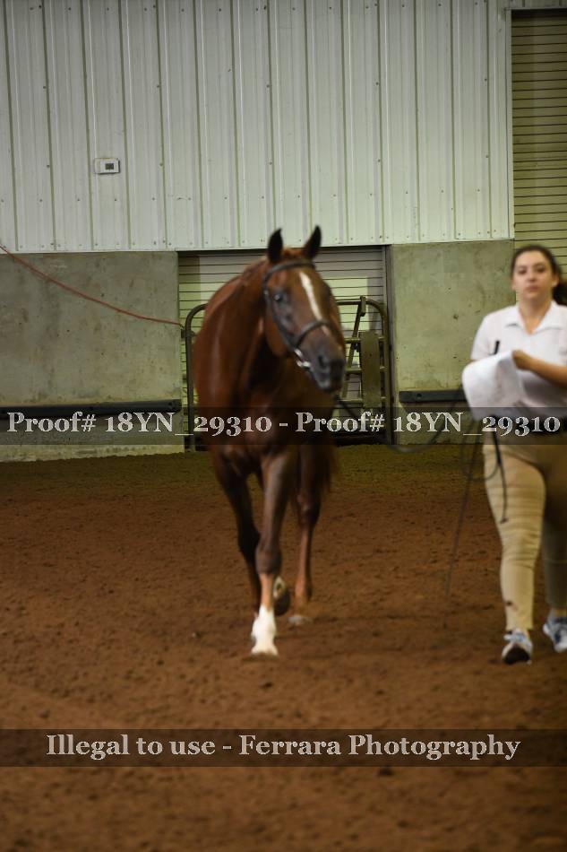 Proof 18YN_29310