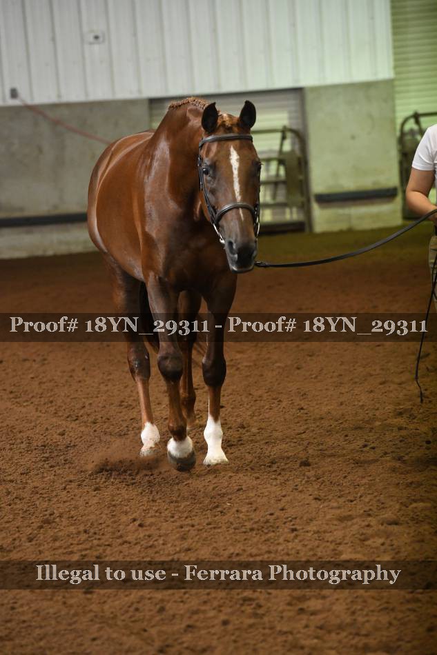 Proof 18YN_29311