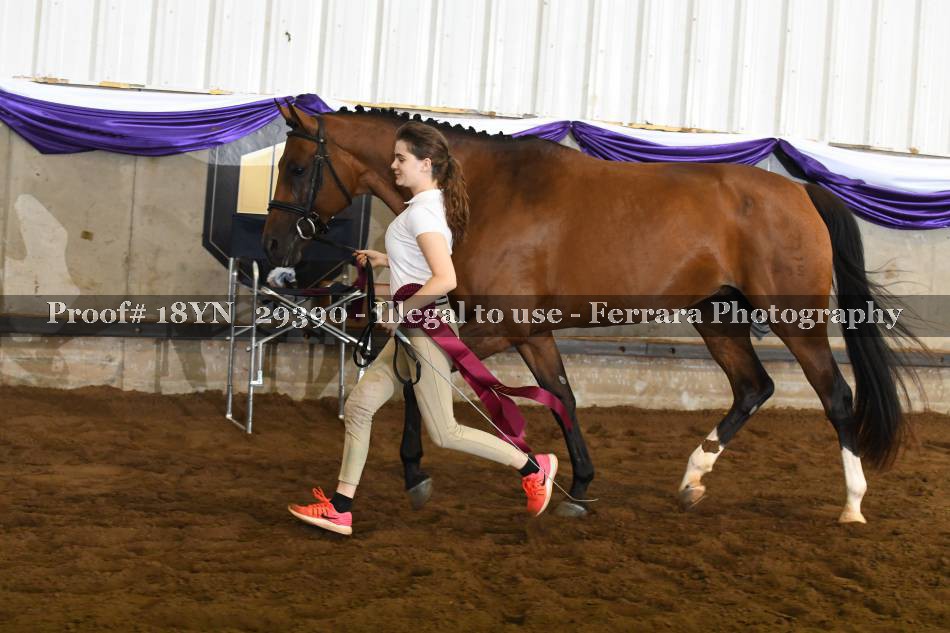 Proof 18YN_29390
