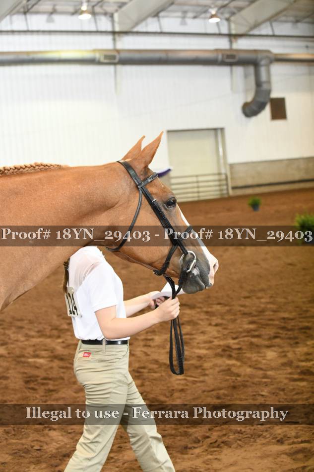Proof 18YN_29403