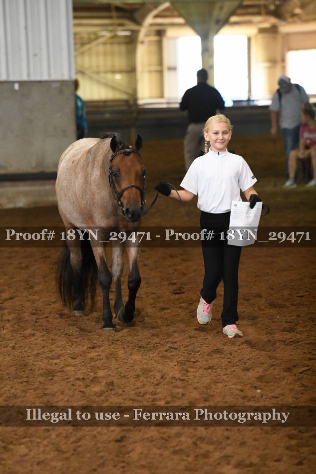 Proof 18YN_29471