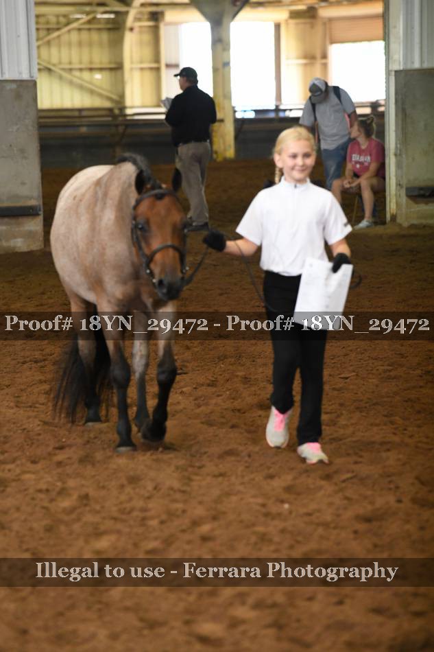 Proof 18YN_29472