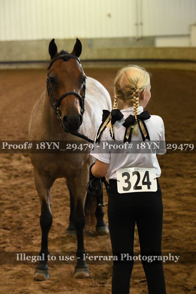 Proof 18YN_29479