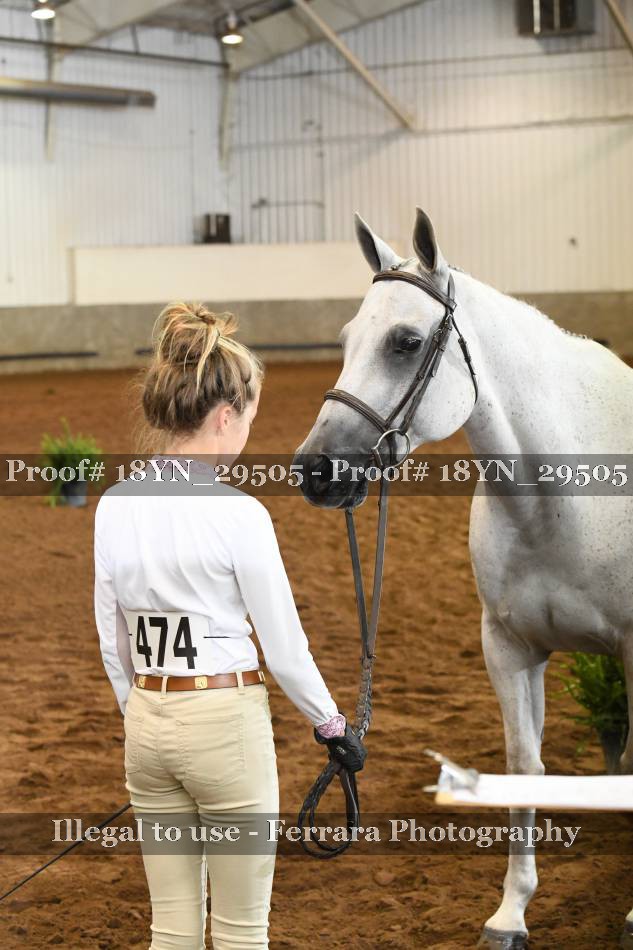 Proof 18YN_29505