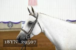 18YN_29507 proof
