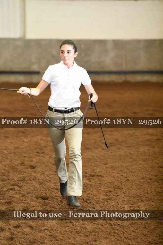 Proof 18YN_29526