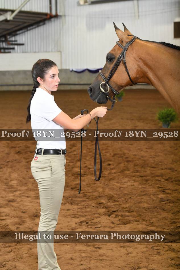 Proof 18YN_29528