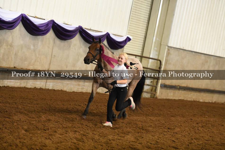 Proof 18YN_29549