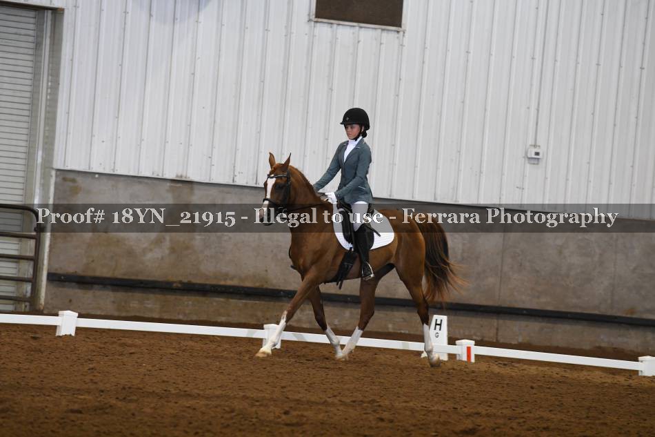 Proof 18YN_21915