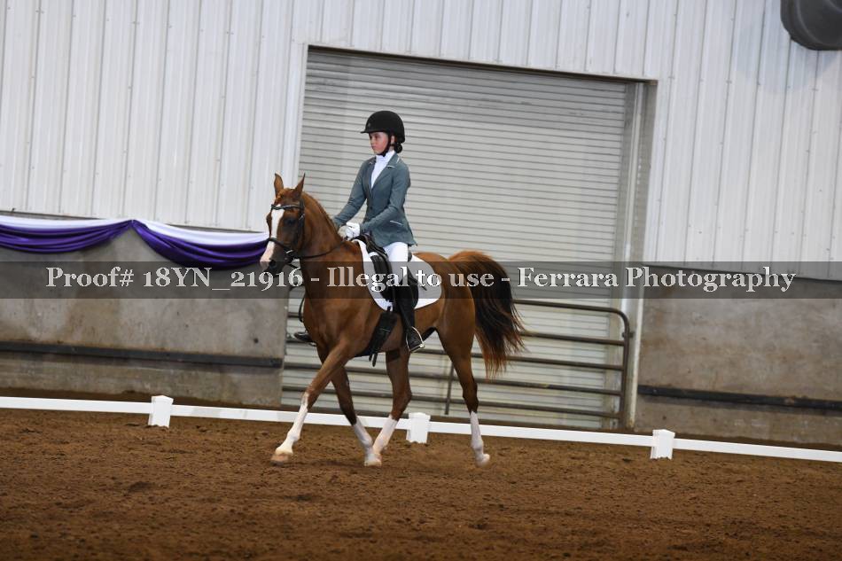 Proof 18YN_21916