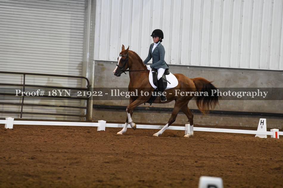 Proof 18YN_21922