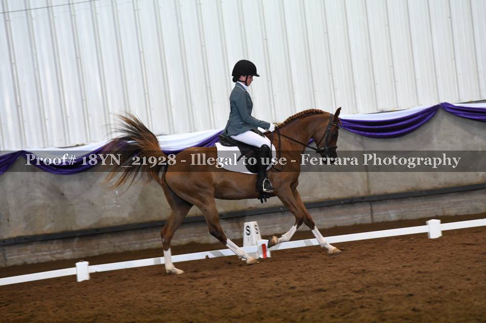 Proof 18YN_21928
