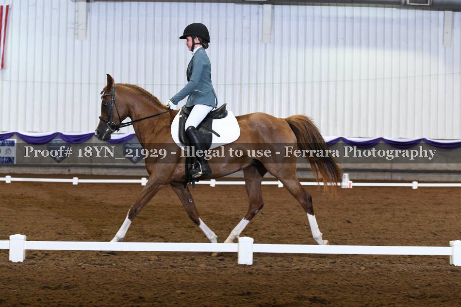 Proof 18YN_21929
