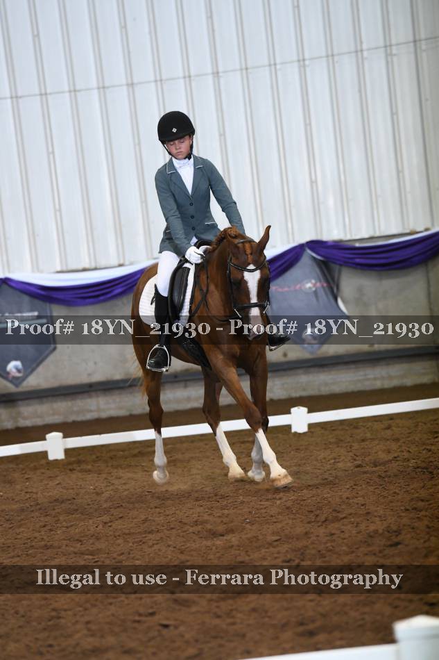 Proof 18YN_21930
