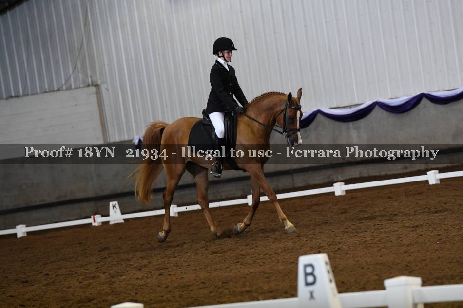 Proof 18YN_21934