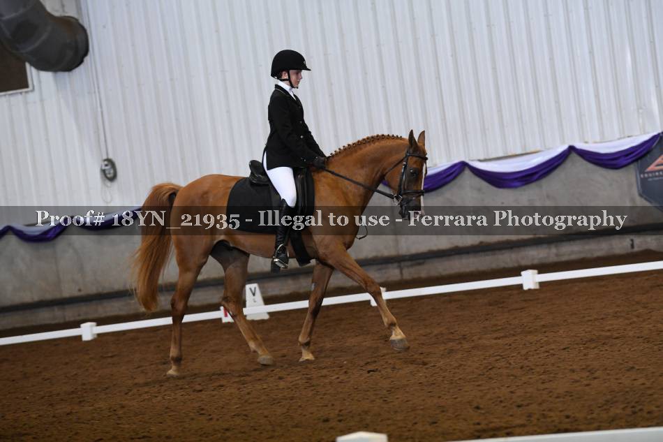 Proof 18YN_21935