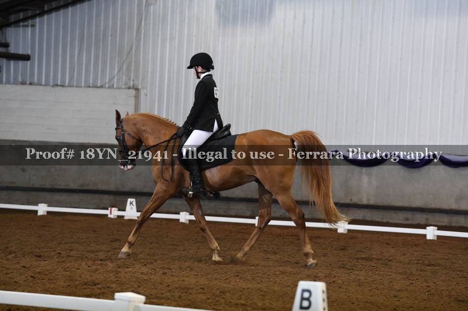 Proof 18YN_21941