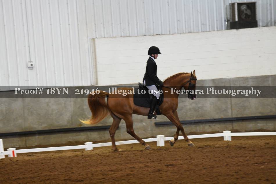 Proof 18YN_21946