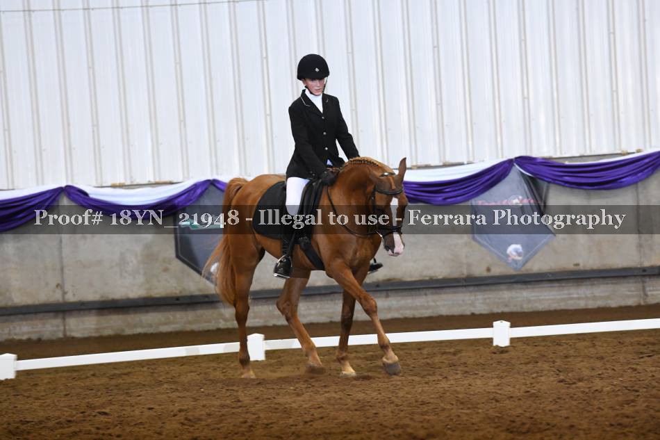 Proof 18YN_21948