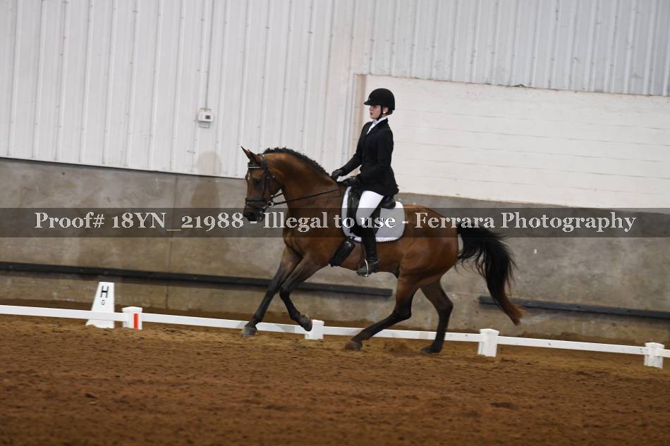 Proof 18YN_21988