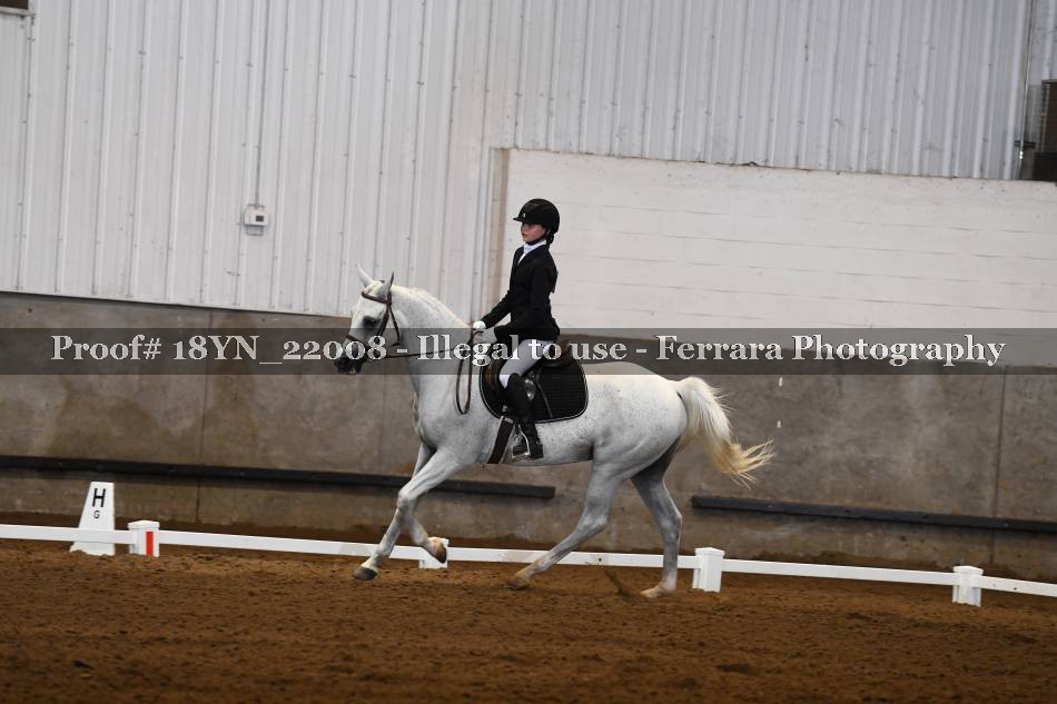 Proof 18YN_22008