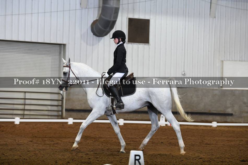 Proof 18YN_22011