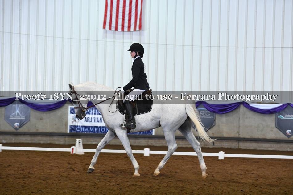 Proof 18YN_22012