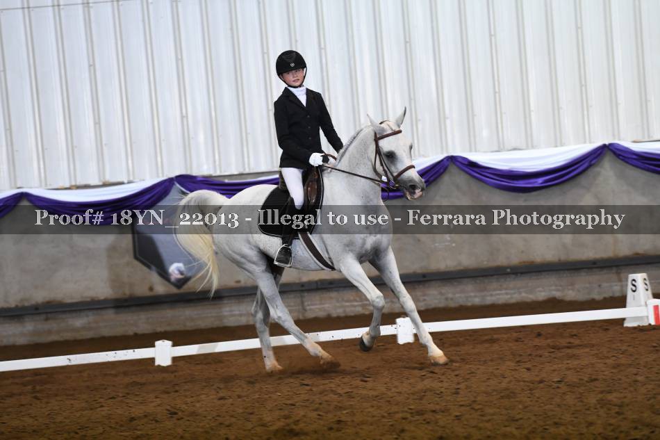 Proof 18YN_22013
