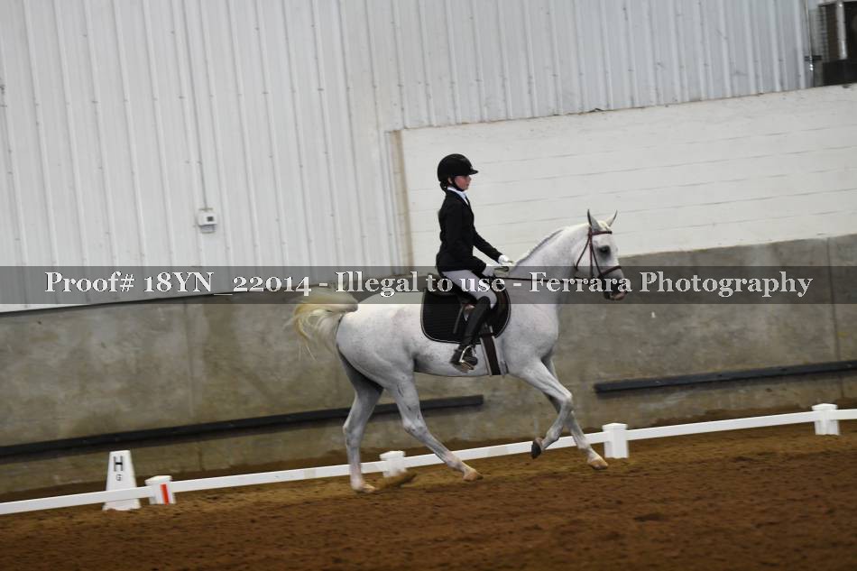 Proof 18YN_22014