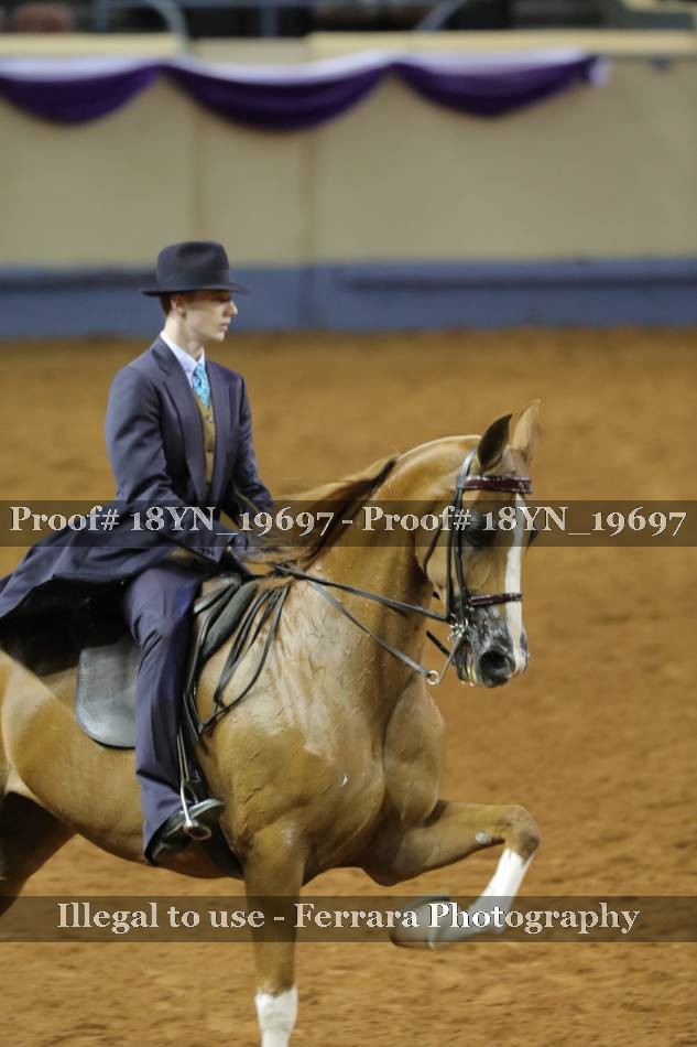 Proof 18YN_19697
