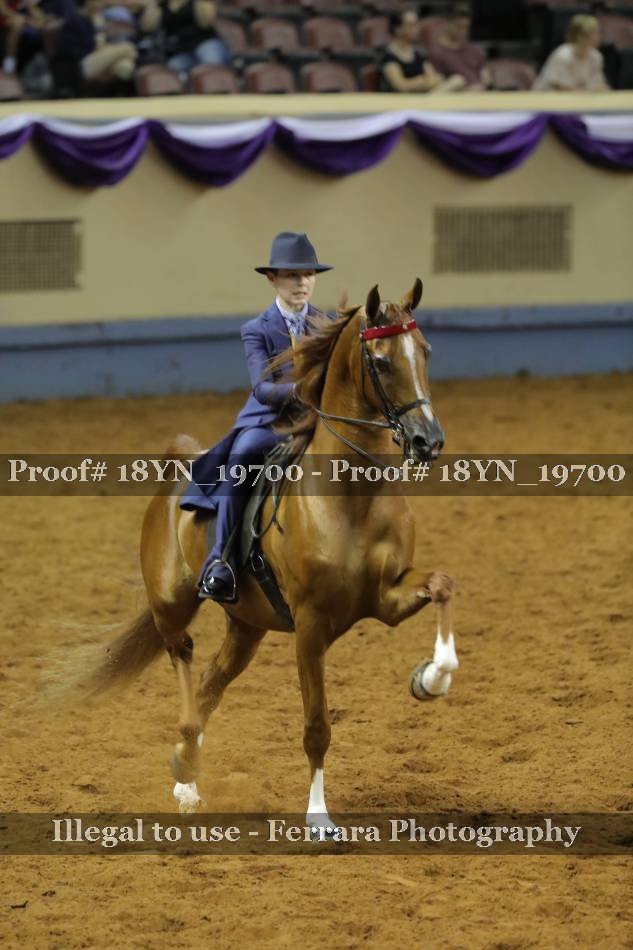 Proof 18YN_19700