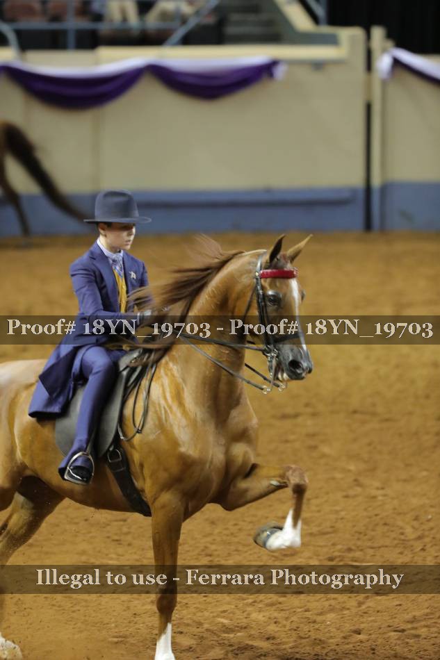 Proof 18YN_19703