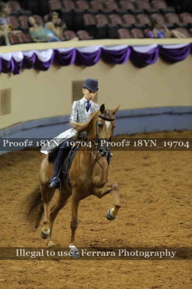 Proof 18YN_19704