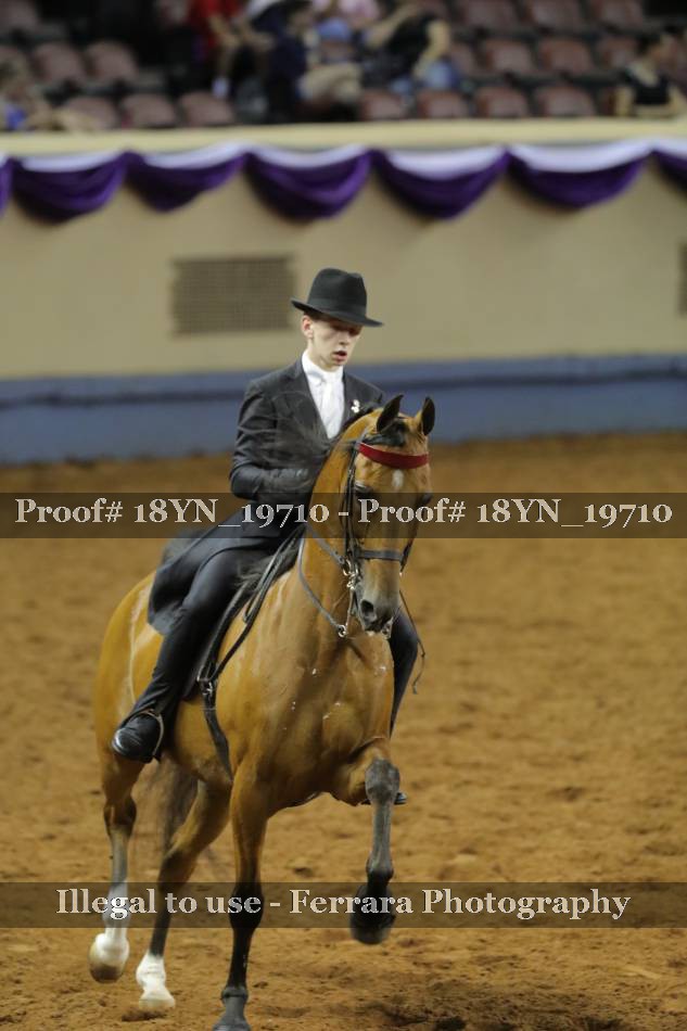 Proof 18YN_19710