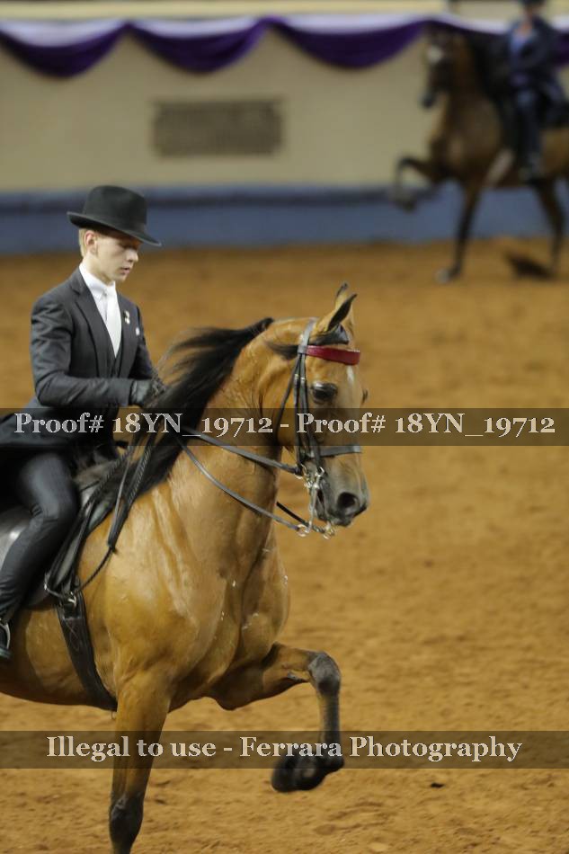Proof 18YN_19712