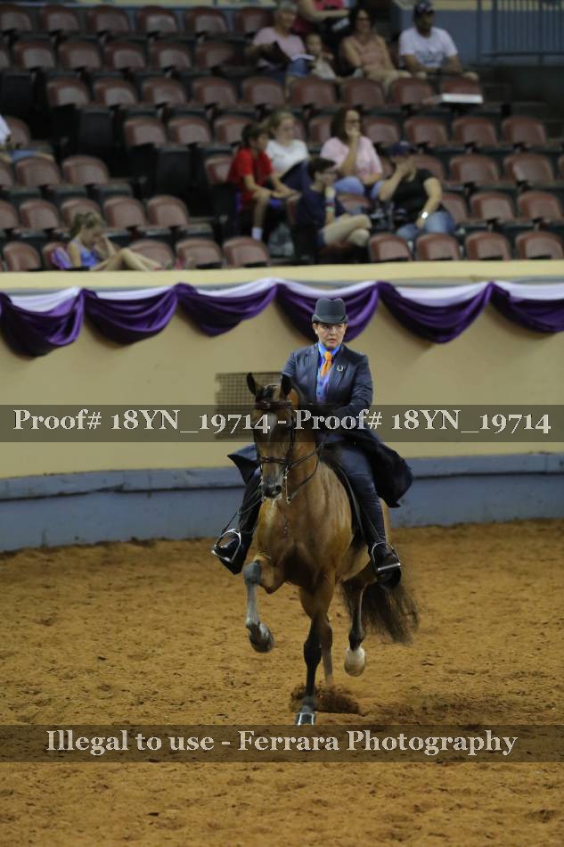 Proof 18YN_19714
