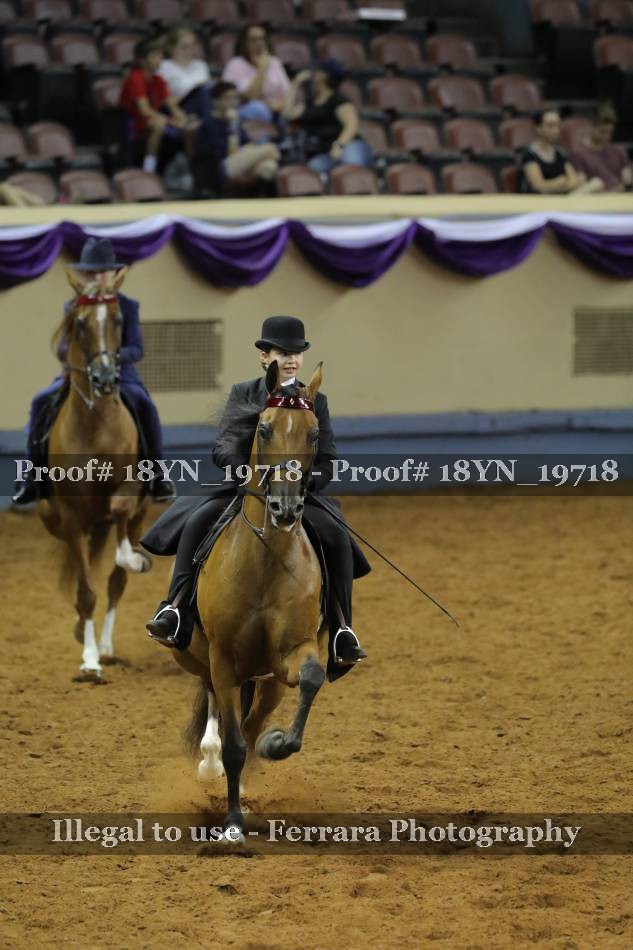 Proof 18YN_19718