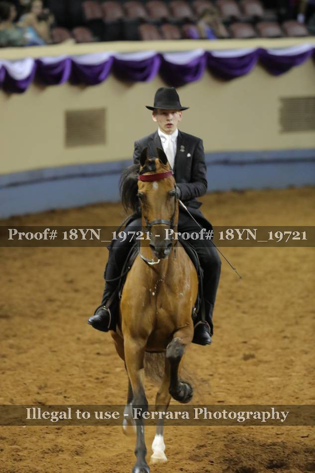 Proof 18YN_19721