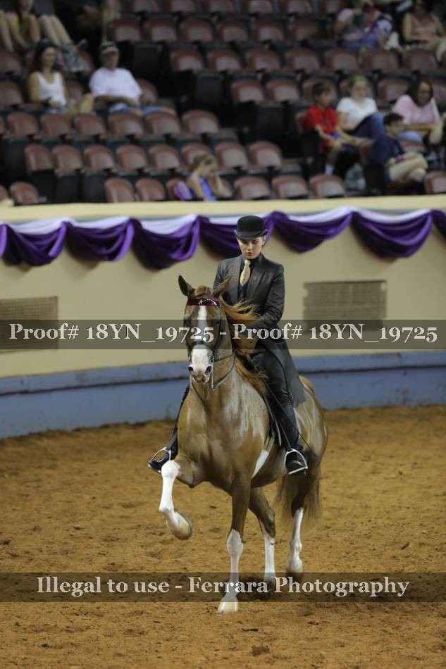 Proof 18YN_19725