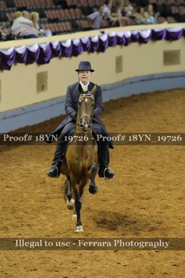 Proof 18YN_19726