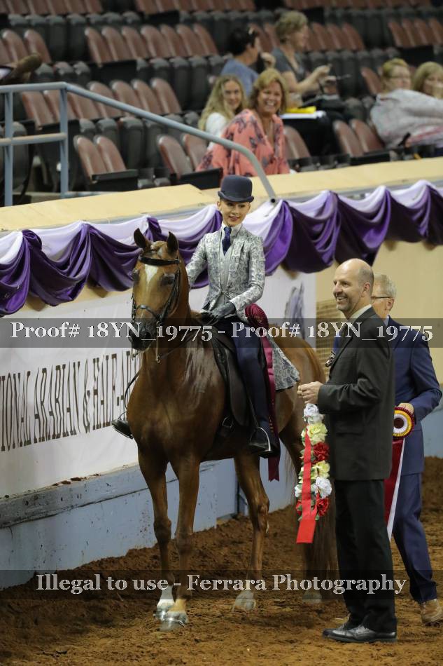 Proof 18YN_19775