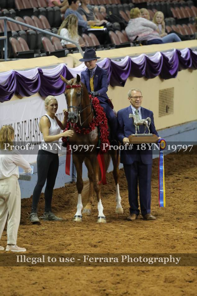 Proof 18YN_19797