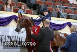 18YN_19799 proof