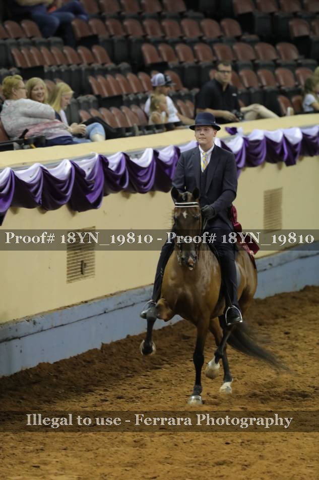 Proof 18YN_19810